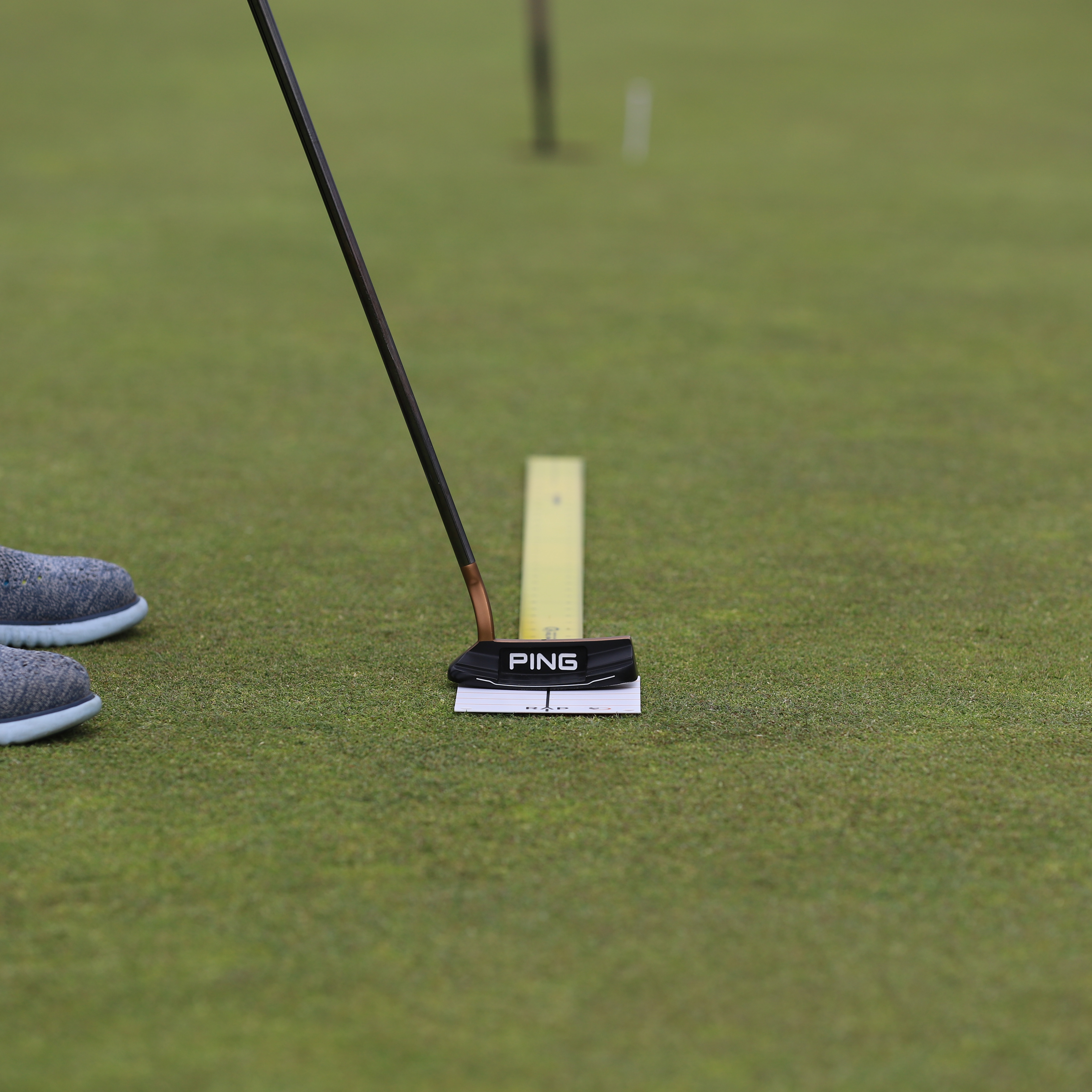 Raflewski Tour Putting Ruler (Colour)